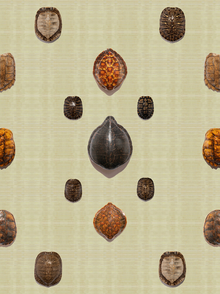Turtle shell layout on grasscloth