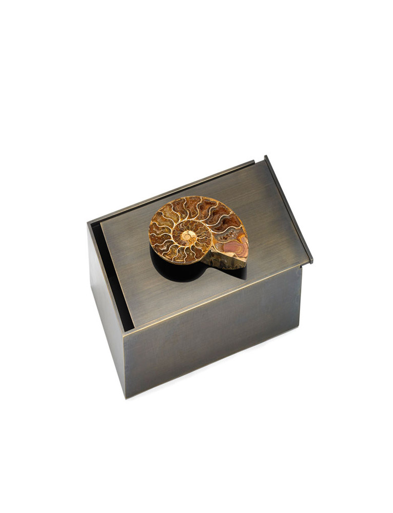 Scatola di bronzo   ammonita